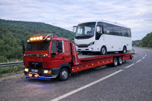 Agir Vasita Resimleri 12